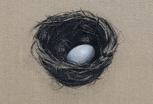 Charcoal drawing of a birdnest