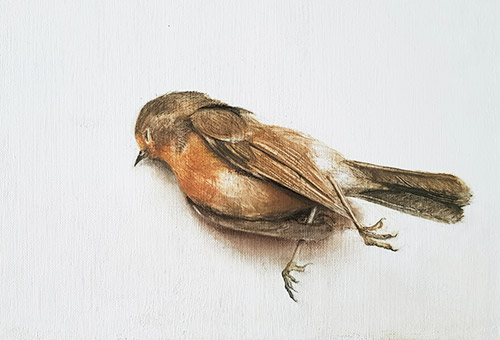 Charcoal drawing of a dead bird
