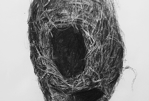 Bird Nest No.11 - detailed charcoal drawing of nature still life by Singapore contemporary artist Liu Ling