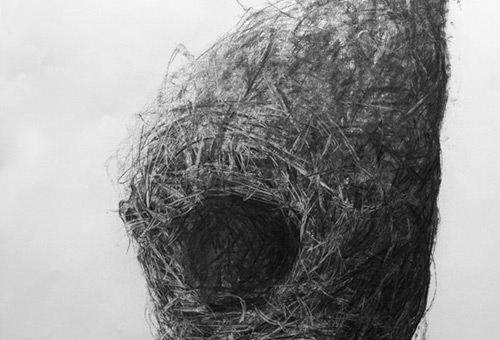 Bird Nest No.9 - black and white still life drawing by Singapore charcoal artist Liu Ling