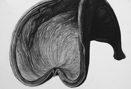 Organic Shape No.2 - contemporary charcoal drawing of nature still life by Singapore charcoal artist Liu Ling