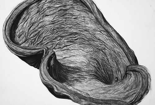 Organic Shape No.5 - black and white nature drawing by Singapore charcoal artist Liu Ling