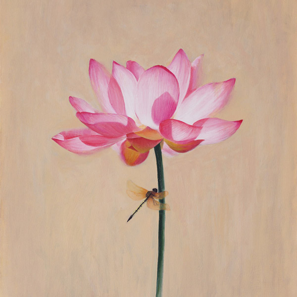 Lotus No.1 - flower oil painting